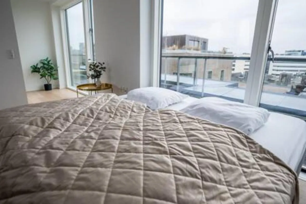 Executive Harbour Penthouse Lejlighed København 0*,  Danmark