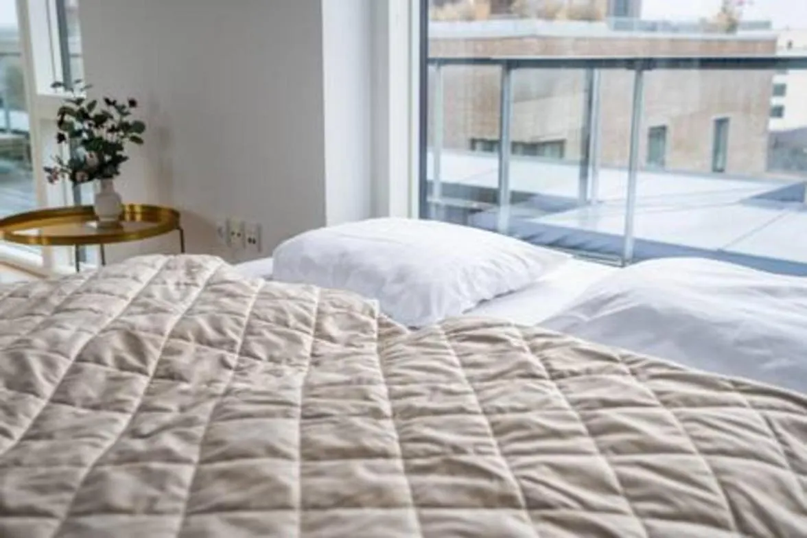 Executive Harbour Penthouse Lejlighed København